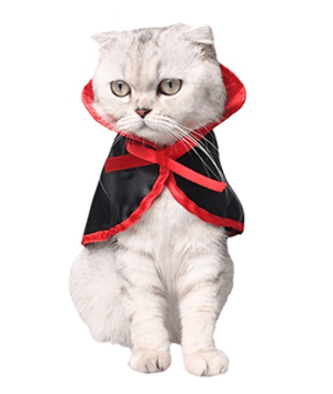 catcostume