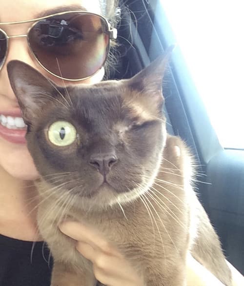 milo1