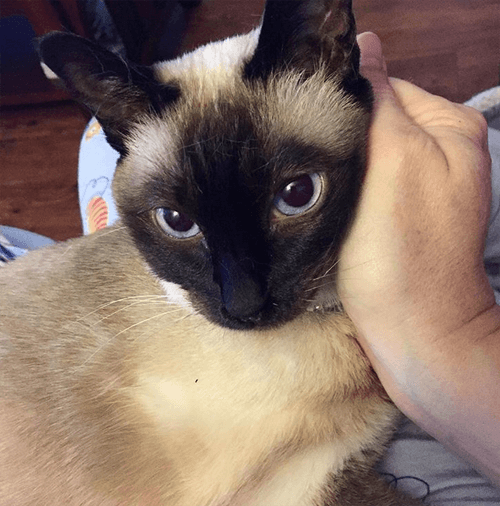keiko