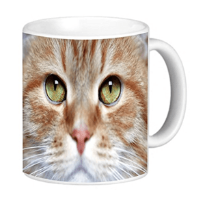 orangecatmug