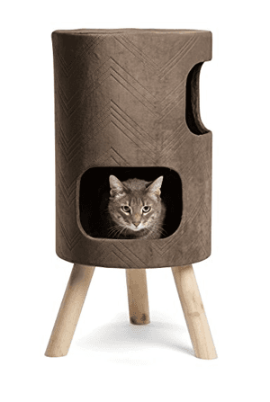midcenturycat