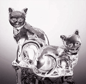 catsalt