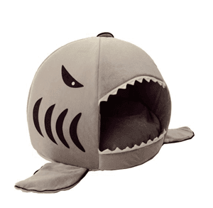 shark