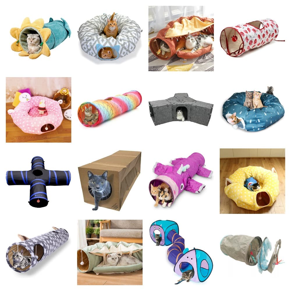 unique cat tunnels feature