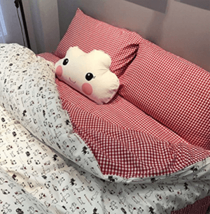 catduvetcover