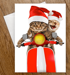 catchristmascards