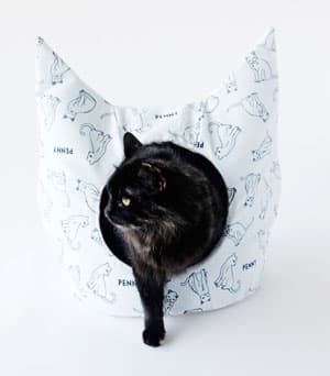 diycatbed