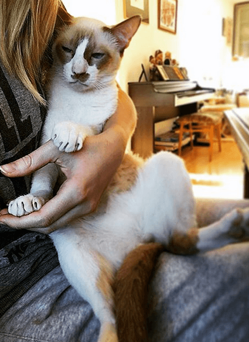 odin