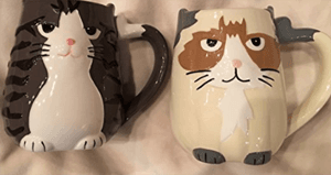 catmug