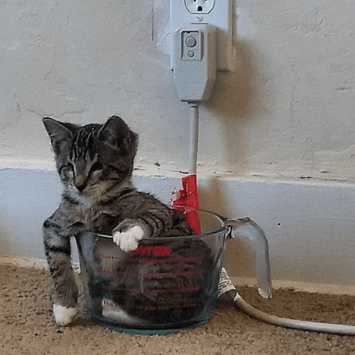 roomba