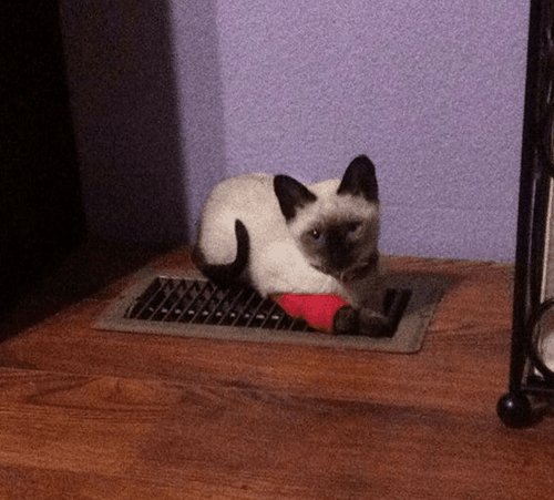 keiko