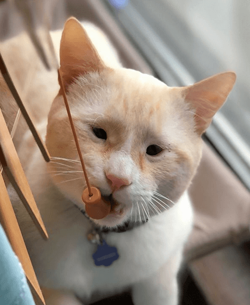 humphreyedgar