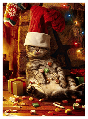 catchristmascards