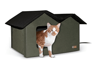 cathouse