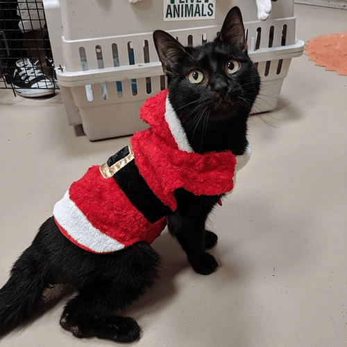 hugh