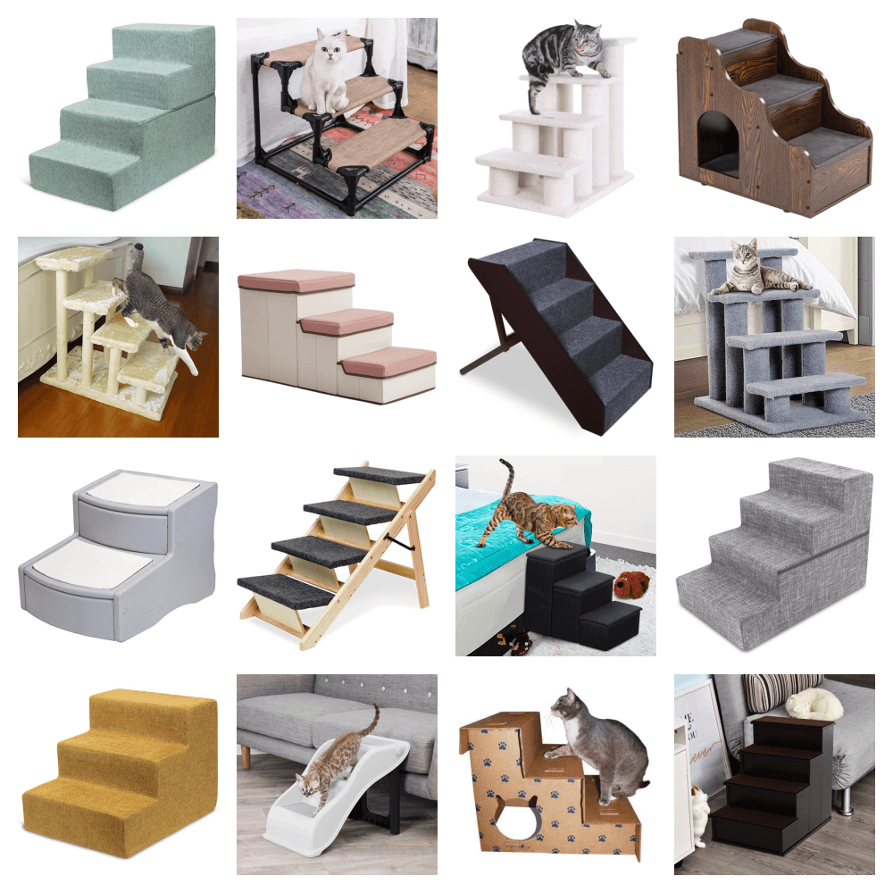 cat stairs and steps feature