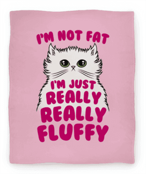 catblanket