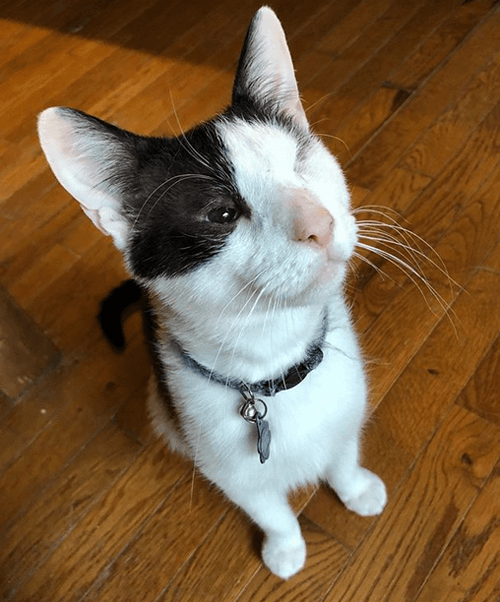 humphreyedgar