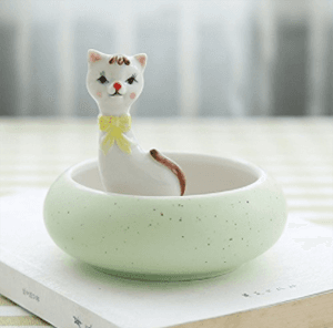 catplanter
