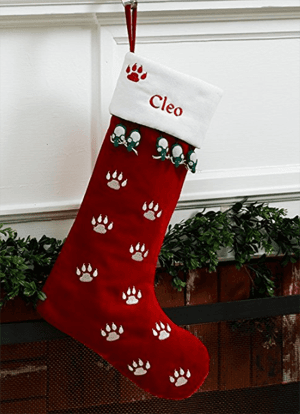 catstocking