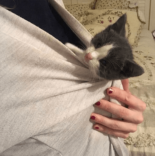 ethel