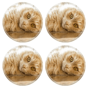 coasters
