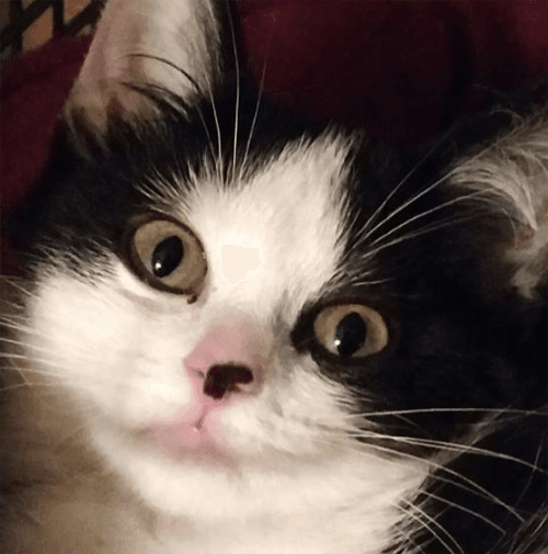 winnie