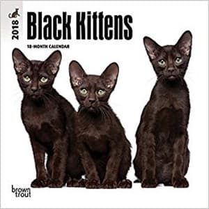catcalendar