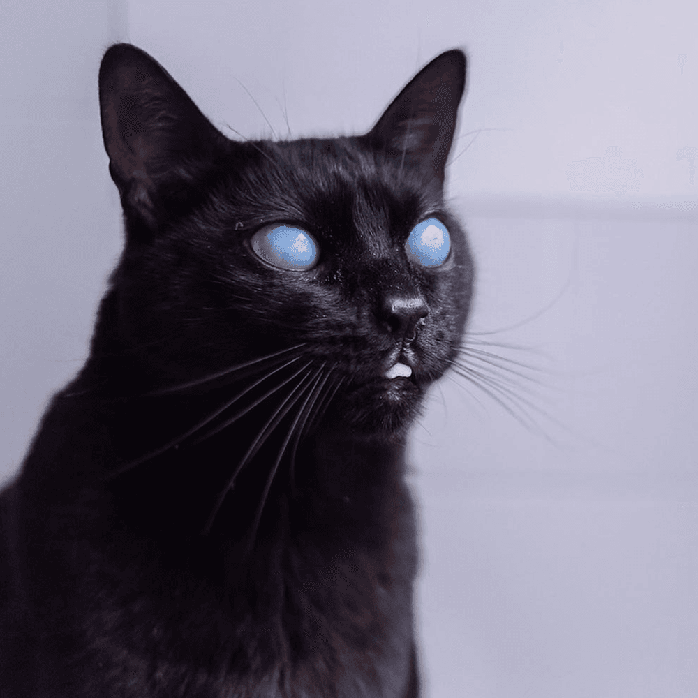 nebula feature