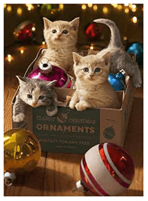 catchristmascards