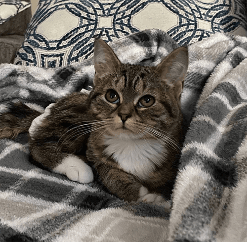 fiona