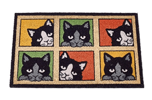 catdoormat