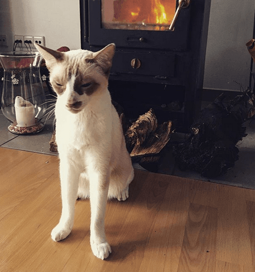 odin