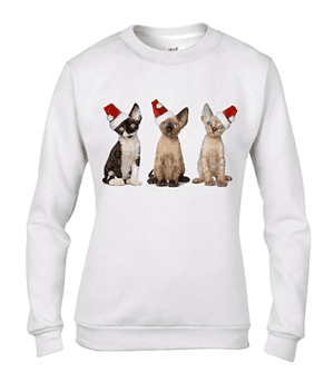 catsweatshirt