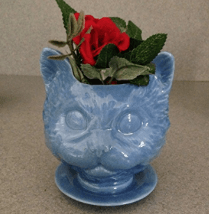catplanter