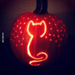 catpumpkin