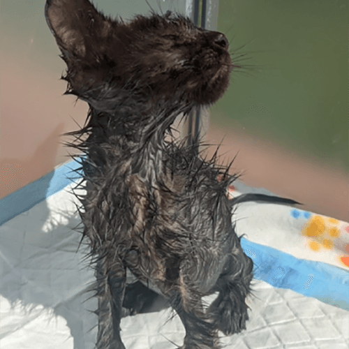 StickyBath