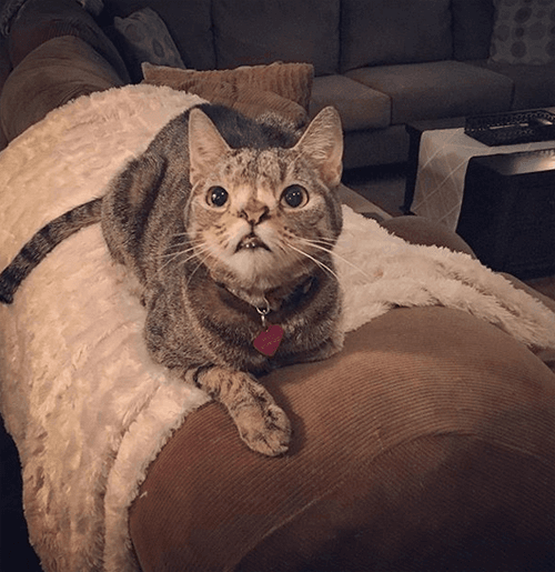 penny