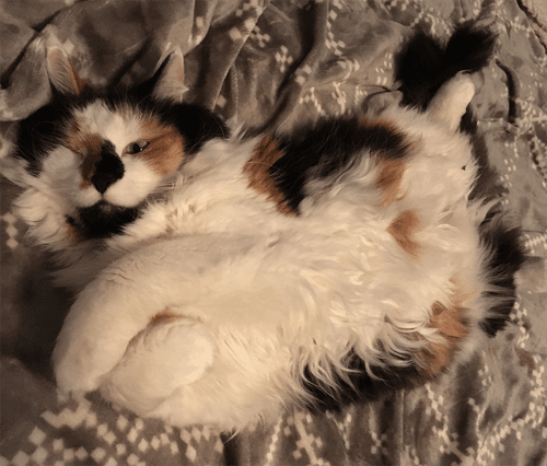 lunahobbes