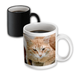 orangecatmug