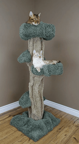 cattree