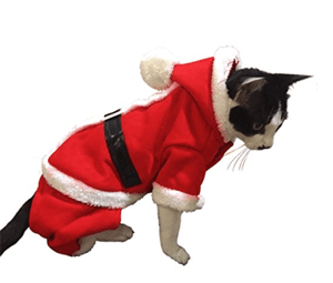 catcostume