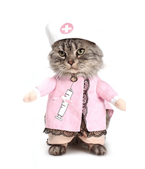 catcostume