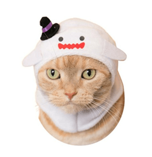 catcostume
