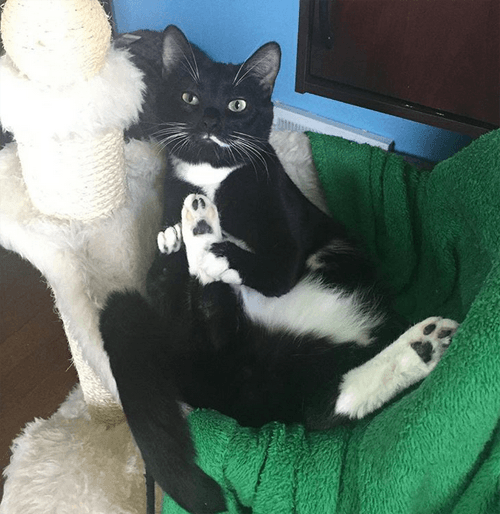 jack