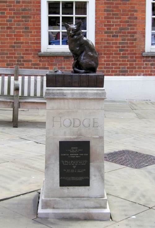 Hodgecat_flickr