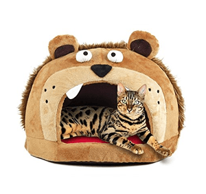 catbed