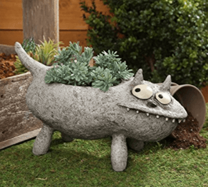 catplanter