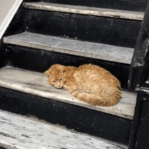 Stairs copy