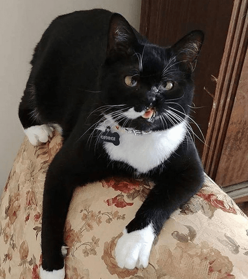 george